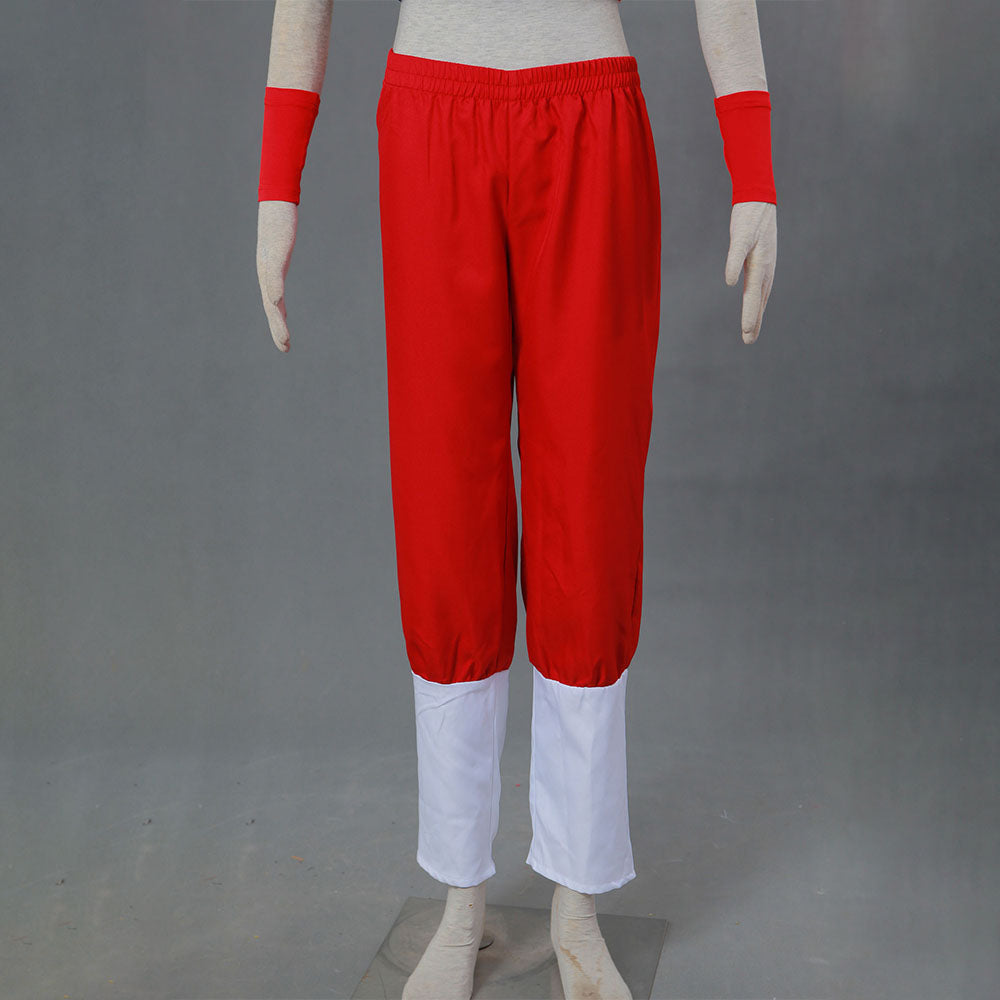 Dragon Ball Chichi Unmarried Blue Cosplay Costume Ouffits Women and Kids Halloween