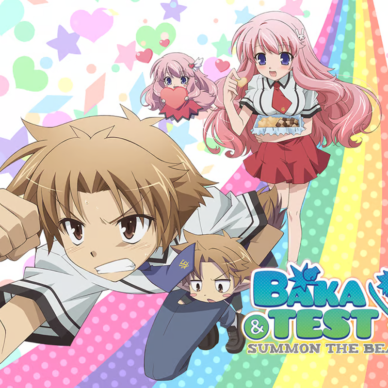Baka and Test: Summon the Beasts – Rizz Costumes